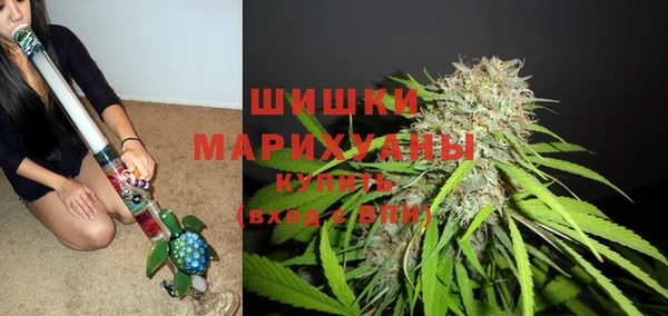 спайс Няндома