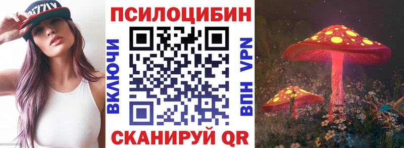 Псилоцибиновые грибы GOLDEN TEACHER KRAKEN как войти Апатиты
