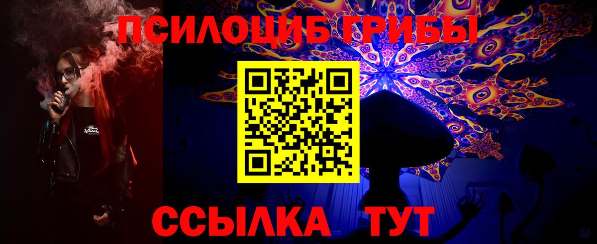 Галлюциногенные грибы MAGIC MUSHROOMS Апатиты