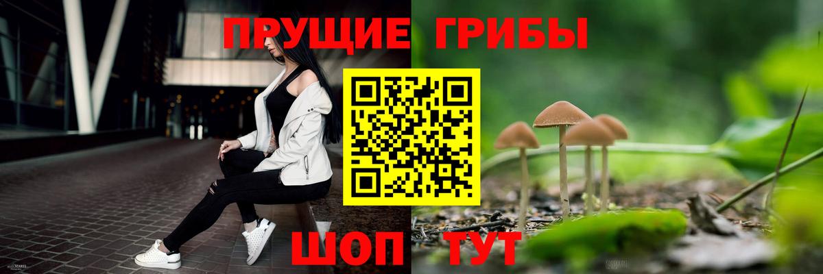 Галлюциногенные грибы мицелий  Псилоцибиновые грибы Cubensis  Апатиты 